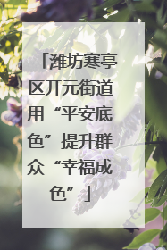 潍坊寒亭区开元街道用“平安底色”提升群众“幸福成色”