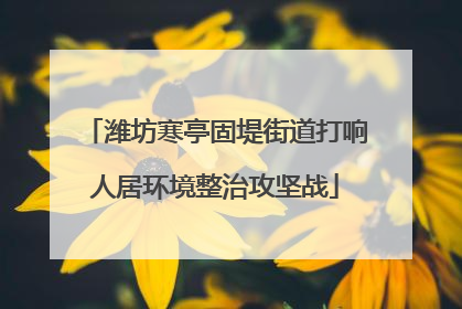 潍坊寒亭固堤街道打响人居环境整治攻坚战