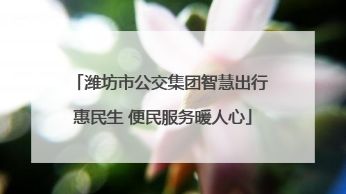 潍坊市公交集团智慧出行惠民生 便民服务暖人心