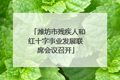 潍坊市残疾人和红十字事业发展联席会议召开