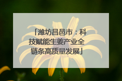 潍坊昌邑市：科技赋能生姜产业全链条高质量发展