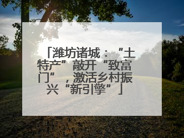 潍坊诸城：“土特产”敲开“致富门”，激活乡村振兴“新引擎”