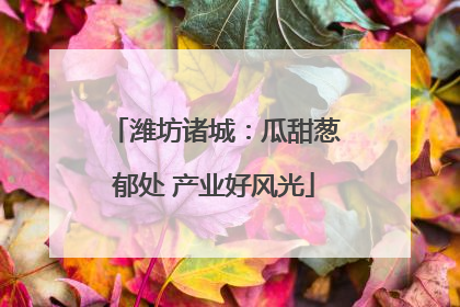 潍坊诸城：瓜甜葱郁处 产业好风光
