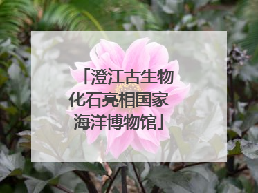澄江古生物化石亮相国家海洋博物馆