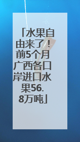 水果自由来了！前5个月广西各口岸进口水果56.8万吨