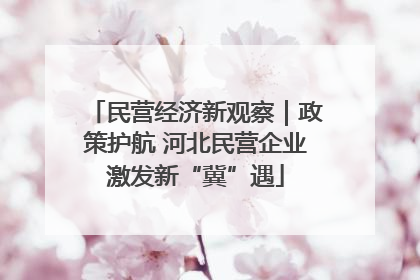 民营经济新观察｜政策护航 河北民营企业激发新“冀”遇
