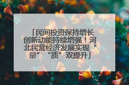 民间投资保持增长 创新动能持续增强！河北民营经济发展实现“量”“质”双提升