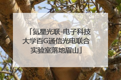 氦星光联-电子科技大学百G通信光电联合实验室落地眉山