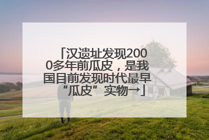 汉遗址发现2000多年前瓜皮，是我国目前发现时代最早“瓜皮”实物→