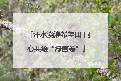 汗水浇灌希望田 同心共绘“绿画卷”