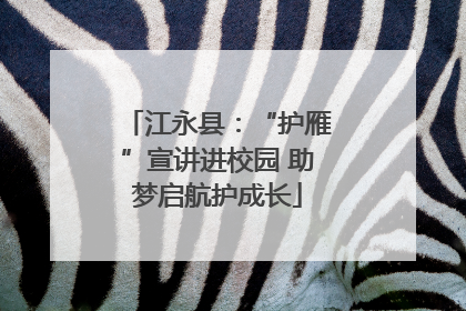 江永县：“护雁”宣讲进校园 助梦启航护成长