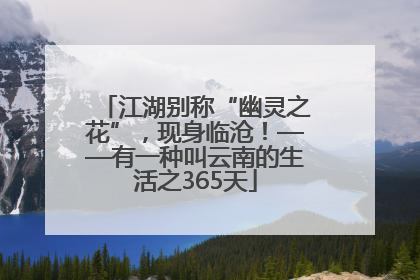 江湖别称“幽灵之花”，现身临沧！——有一种叫云南的生活之365天