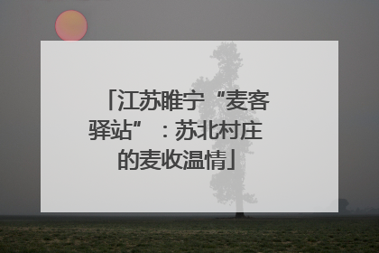 江苏睢宁“麦客驿站”：苏北村庄的麦收温情