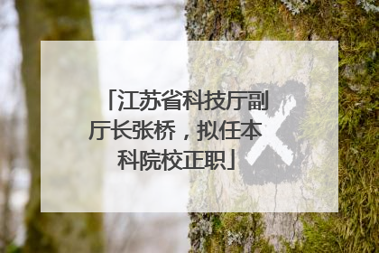 江苏省科技厅副厅长张桥，拟任本科院校正职