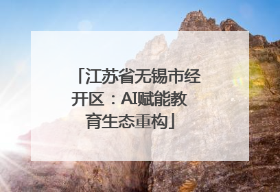 江苏省无锡市经开区：AI赋能教育生态重构