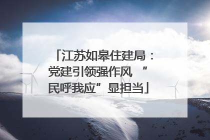 江苏如皋住建局：党建引领强作风 “民呼我应”显担当
