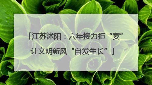 江苏沭阳：六年接力拒“宴” 让文明新风“自发生长”