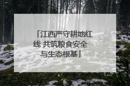江西严守耕地红线 共筑粮食安全与生态根基