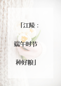 江陵：端午时节种好粮