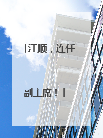 汪顺，连任副主席！