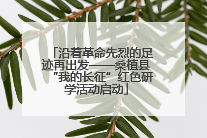 沿着革命先烈的足迹再出发——桑植县“我的长征”红色研学活动启动