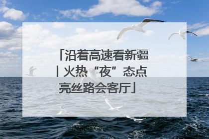 沿着高速看新疆丨火热“夜”态点亮丝路会客厅