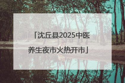 沈丘县2025中医养生夜市火热开市