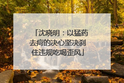 沈晓明：以猛药去疴的决心坚决刹住违规吃喝歪风