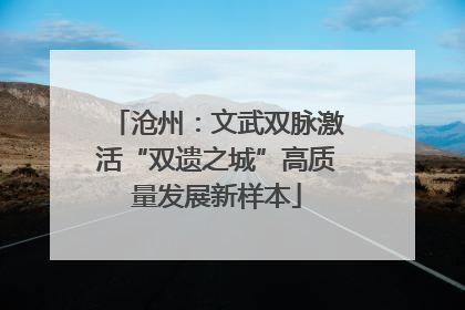 沧州：文武双脉激活“双遗之城”高质量发展新样本