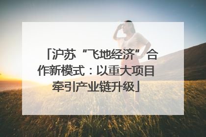 沪苏“飞地经济”合作新模式：以重大项目牵引产业链升级