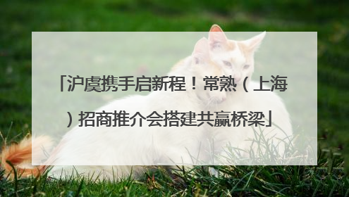 沪虞携手启新程！常熟（上海）招商推介会搭建共赢桥梁