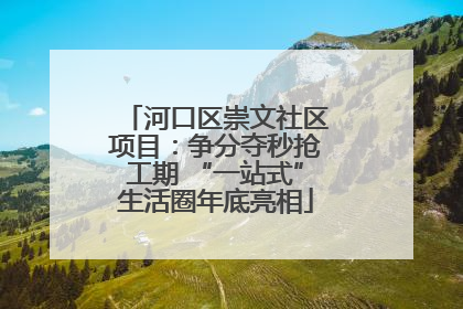河口区崇文社区项目：争分夺秒抢工期 “一站式”生活圈年底亮相