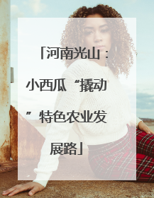 河南光山：小西瓜“撬动”特色农业发展路