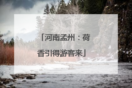 河南孟州：荷香引得游客来