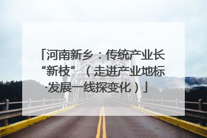 河南新乡：传统产业长“新枝”（走进产业地标·发展一线探变化）