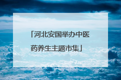 河北安国举办中医药养生主题市集