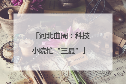 河北曲周：科技小院忙“三夏”