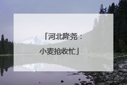 河北隆尧：小麦抢收忙