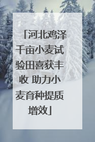 河北鸡泽千亩小麦试验田喜获丰收 助力小麦育种提质增效