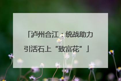 泸州合江：统战助力引活石上“致富花”