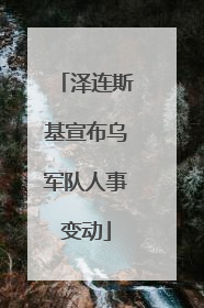 泽连斯基宣布乌军队人事变动