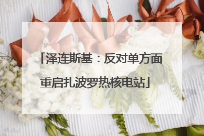 泽连斯基：反对单方面重启扎波罗热核电站