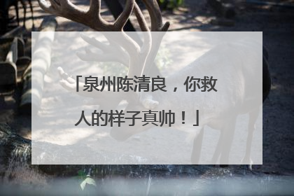 泉州陈清良，你救人的样子真帅！