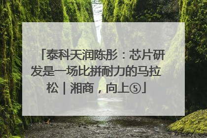 泰科天润陈彤：芯片研发是一场比拼耐力的马拉松｜湘商，向上⑤