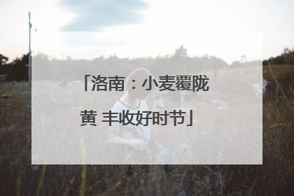 洛南：小麦覆陇黄 丰收好时节