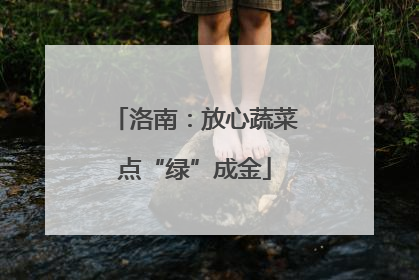 洛南：放心蔬菜点“绿”成金