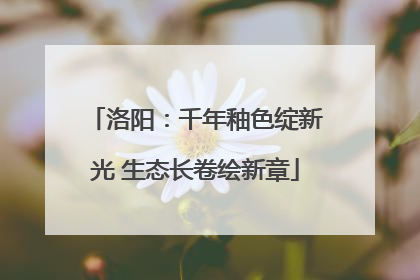 洛阳：千年釉色绽新光 生态长卷绘新章