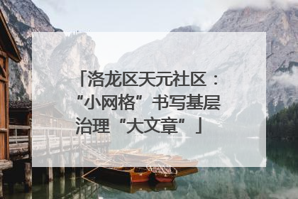 洛龙区天元社区：“小网格”书写基层治理“大文章”