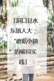 洞口县水东镇人大：“蘑菇小镇”的破局实践