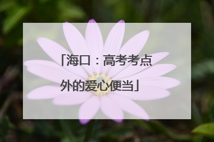 海口：高考考点外的爱心便当